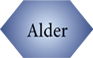 Alder