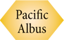 Pacific Albus